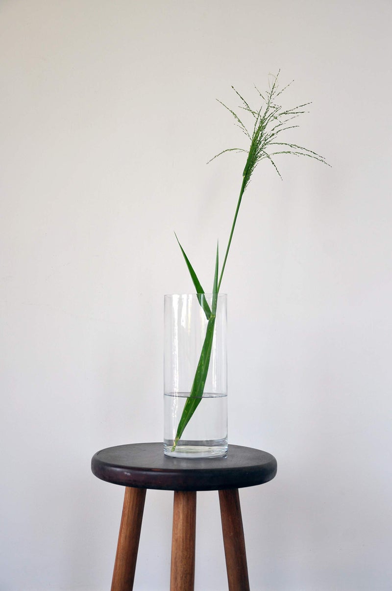 WGVI WGV Quality Thick Cylinder Vase, Diameter 5", Height 12", Clear Glass Floral Planter Container, Tall Centerpiece Arrangement for Wedding Home Decor, 1 Piece - Image 5